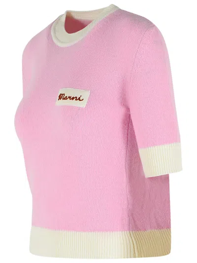 Marni Wool Blend Short Sleeve Crewneck Sweater In Pink