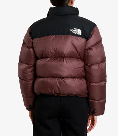 The North Face Coats In Brown
