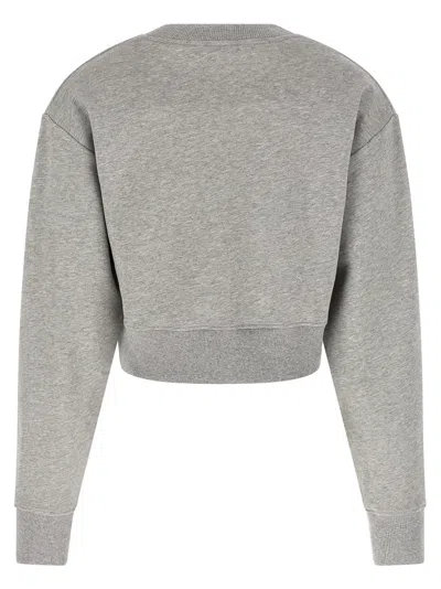 Balmain Paris Sweatshirt Gray In Gray