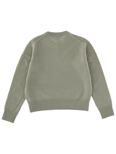 Maison Kitsuné "fox Head" Sweater In Green