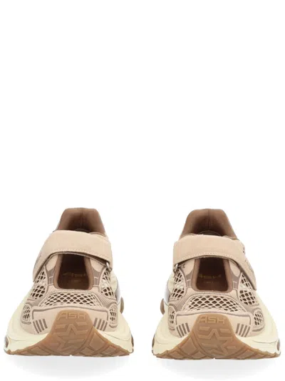 Ash Drake Sneaker In Multi