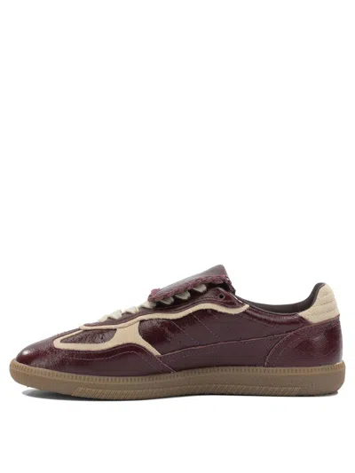 Alohas Tb.490 Club Patent Deep Burgundy Leather Sneakers In Brown