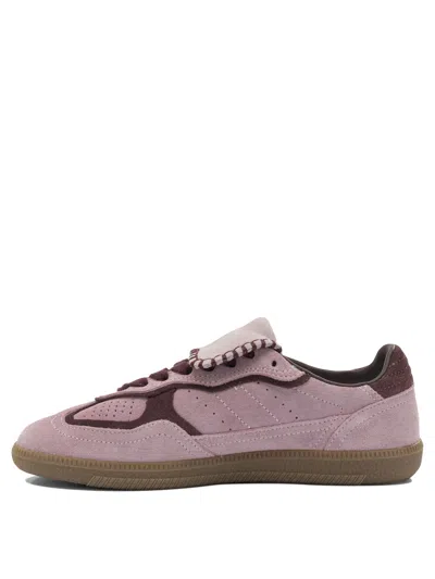 Alohas Tb.490 Club Suede Pink Leather Sneakers Altezza Tacco 2 Cm In Multi