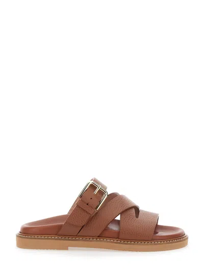 Pollini Flat Sandals In Brown