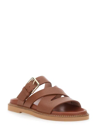 Pollini Flat Sandals In Brown