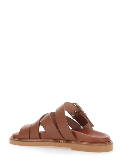 Pollini Flat Sandals In Brown