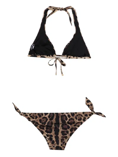 Dolce & Gabbana Leopard-print Tie Bikini In Brown