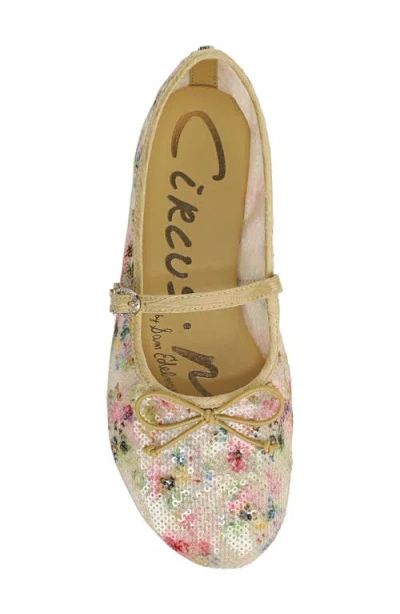 Circus Ny By Sam Edelman Sofie Mesh Ballet Flat In Multi