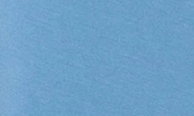 Roxy Surfing By Moonlight Shorts In Blue