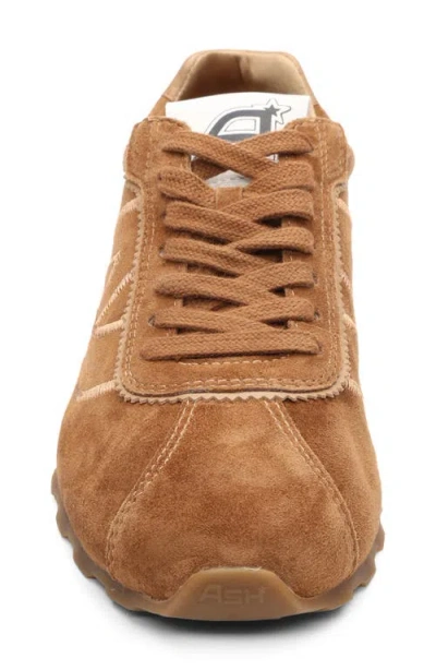 Ash Killer Low Profile Sneaker In Brown