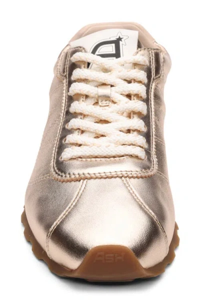 Ash Kill Bill Sneaker In Gold