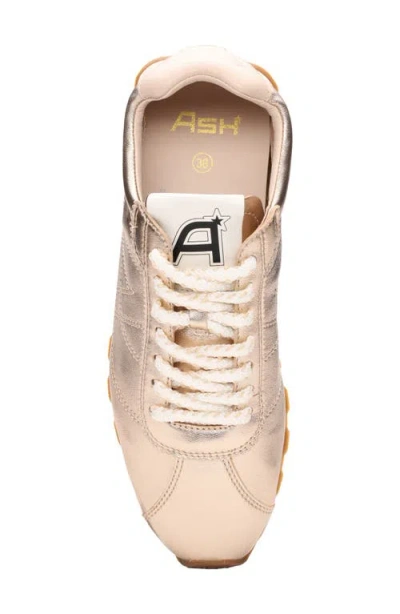 Ash Kill Bill Sneaker In Gold