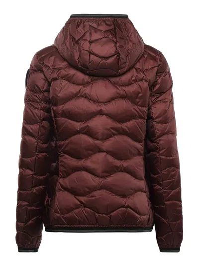 Blauer Camellia Wave Down Jacket In Brown