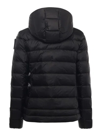 Blauer Charme Fitted Down Jacket In Multi