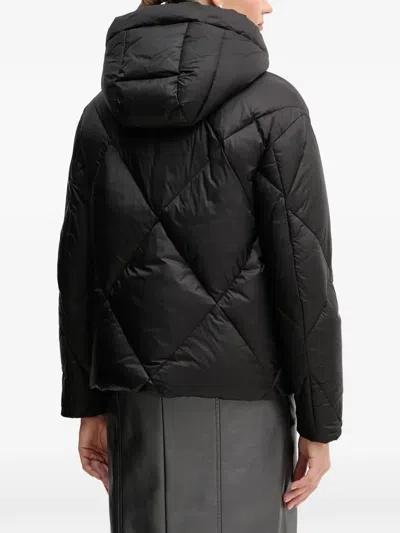 Blauer Hooded Quilted Jacket In Multi