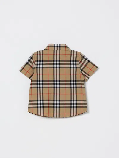 衬衫 BURBERRY 儿童 颜色 米色