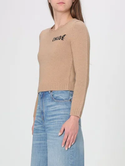 Chloé Scalloped Wool And Cashmere Blend Sweater In Brown
