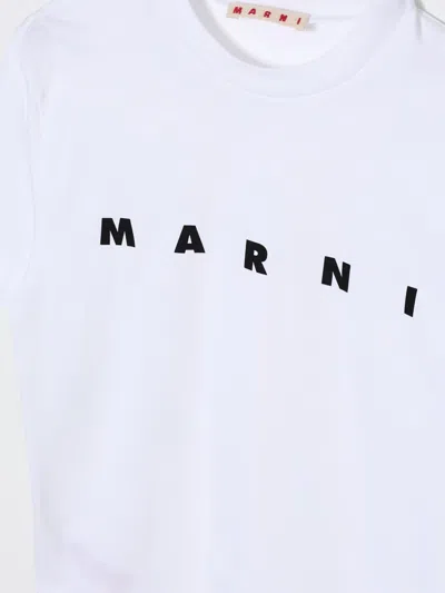 Marni Kids Logo-printed Crewneck T-shirt In White