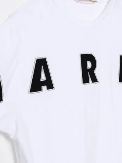 Marni Kids Logo Embroidered Crewneck T-shirt In White