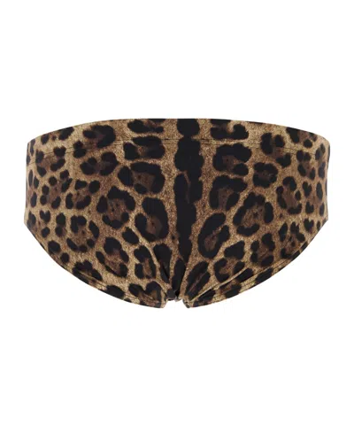 Dolce & Gabbana Drawstring Triangle Swimming Briefs In Animal Print