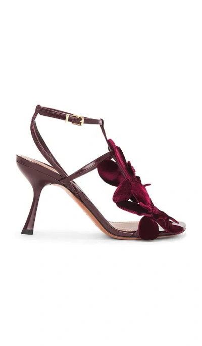 Zimmermann Orchid Sandal In Multi
