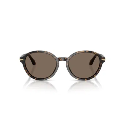 Giorgio Armani Round-frame Sunglasses In Brown