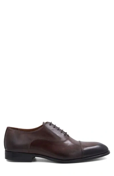 Bruno Magli Sergio Cap Toe Oxford In Brown