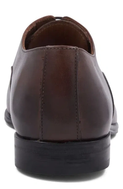 Bruno Magli Sergio Cap Toe Oxford In Brown