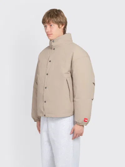 The North Face Tnf Red Box Down Jacket In Neutral