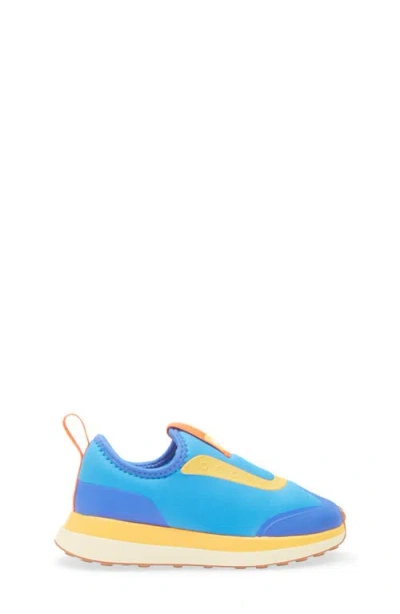 Native Shoes Robbie Dash Slip-on Sneaker In Blue