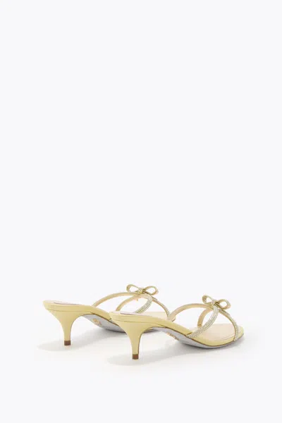 René Caovilla Lynette Lemon Yellow Mule 50 In Yellow