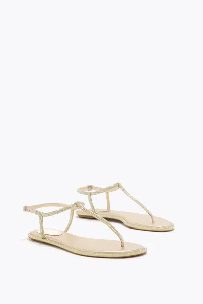 René Caovilla Diana Flip Flops Low Sandals With Crystals 10 Shoes In Grey