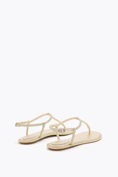 René Caovilla Diana Flip Flops Low Sandals With Crystals 10 Shoes In Grey