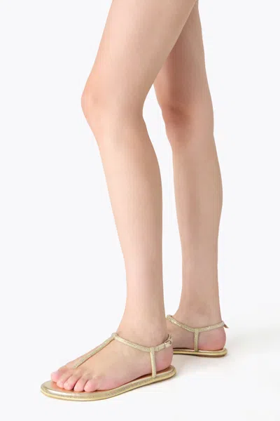 René Caovilla Diana Flip Flops Low Sandals With Crystals 10 Shoes In Grey