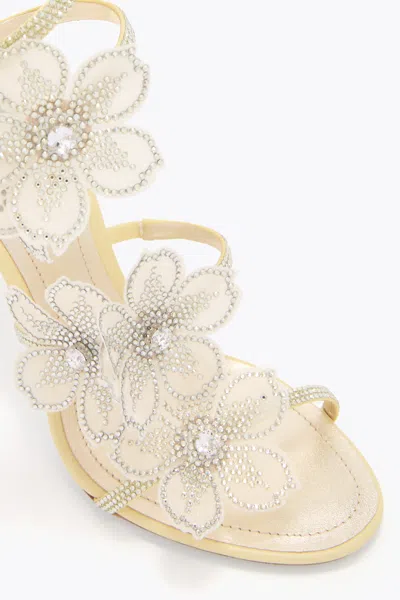 René Caovilla Peach Flower Lemon Yellow Sandal 105 In Yellow