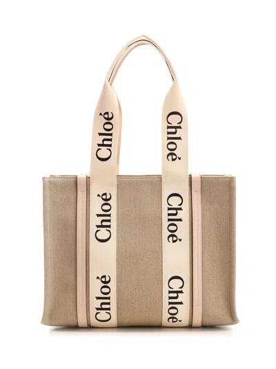 Chloé Chloe Women Multicolor Canvas Medium Woody Shopping Bag In Brown