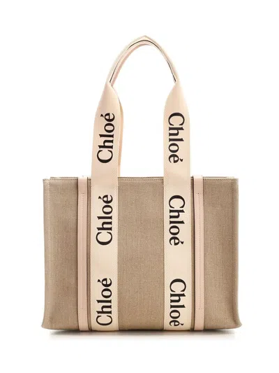 Chloé Chloe Women Multicolor Canvas Medium Woody Shopping Bag In Brown