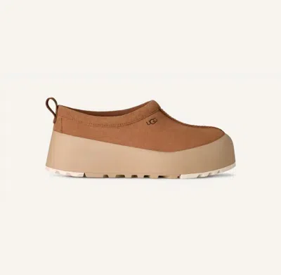 Ugg Tasman Streetscape Platform Slippers In Brown