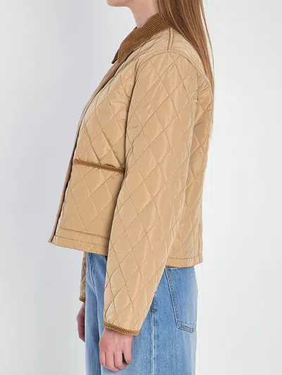 Burberry Cropped Quilted Nylon Jacket In Brown