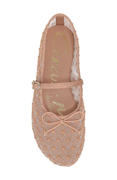 Circus Ny By Sam Edelman Sofie Mesh Ballet Flat In Multi