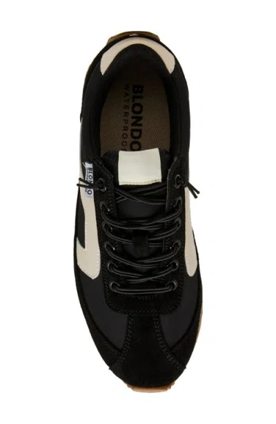 Blondo Emara Waterproof Sneaker In Multi