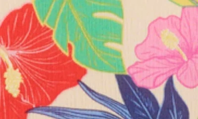 Rip Curl Party Pack Camisole In Multi