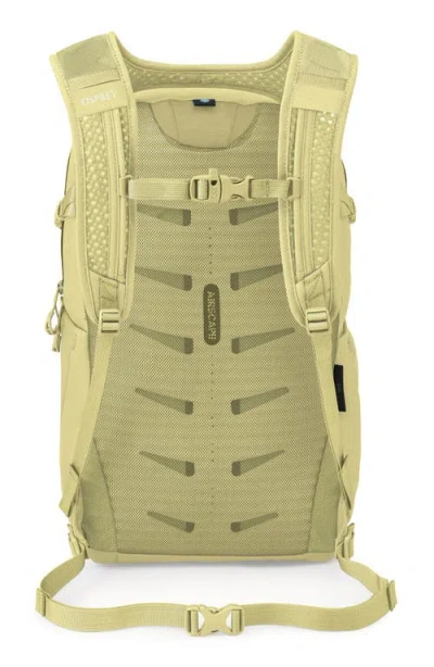 Osprey Daylite Plus Backpack In Yellow
