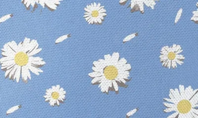 Osprey Daylite Cinch Backpack In Blue