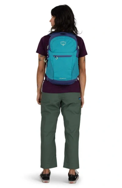 Osprey Daylite Plus Backpack In Blue