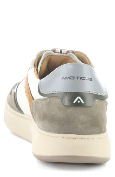 Ambitious Leather Low Top Sneaker In Multi