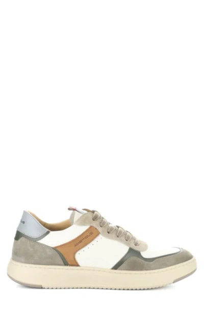 Ambitious Leather Low Top Sneaker In Multi