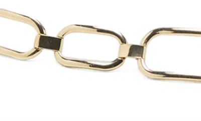 Mango Chain Belt In Gold