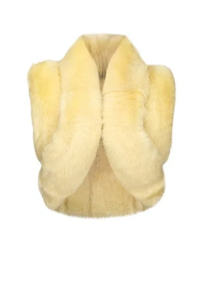 Alaïa Shearling Vest In Neutral