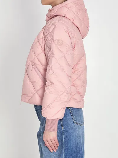 Burberry Check-stitch Nylon Delley Puffer Jacket In Pink